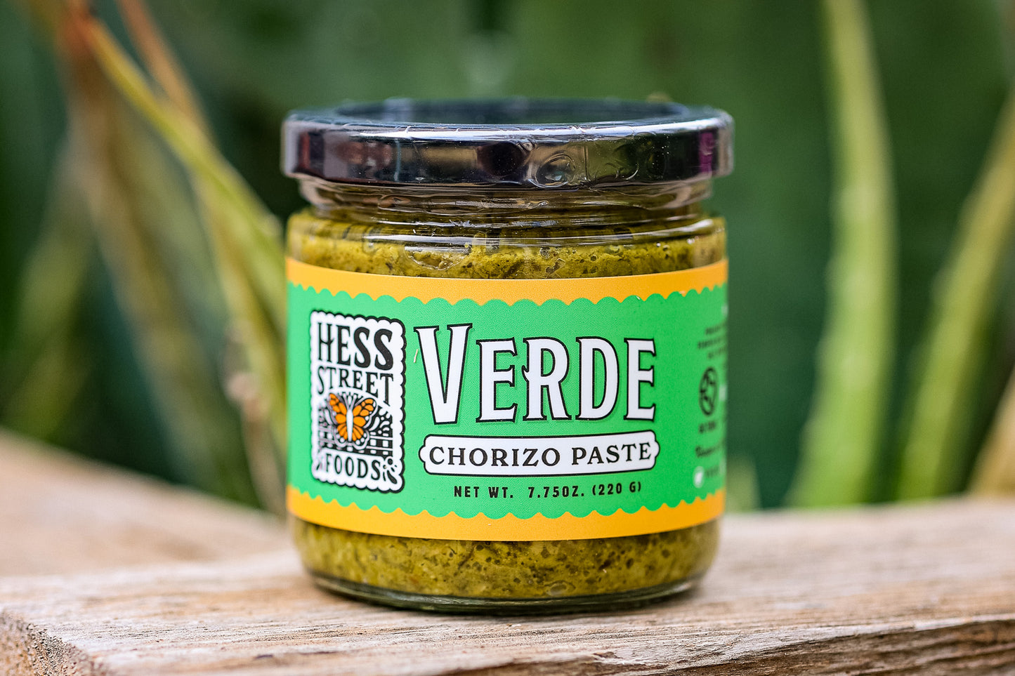 HOLIDAY COLLECTION BOX