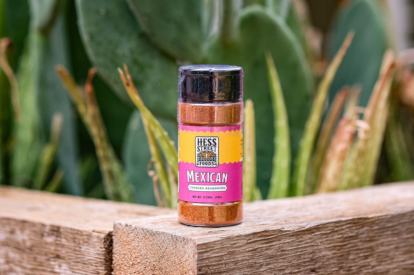 HOLIDAY COLLECTION BOX